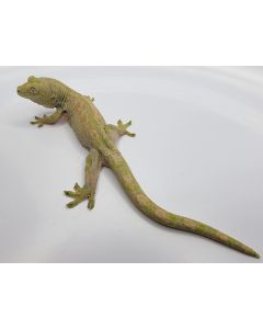 Female Isle of Pines Chahoua Gecko PI08.11.6.2023